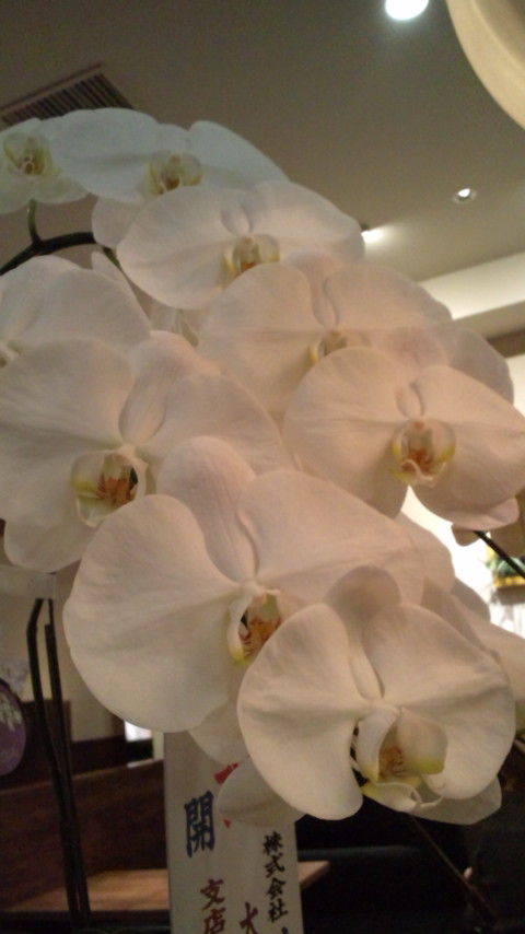 20100914220644