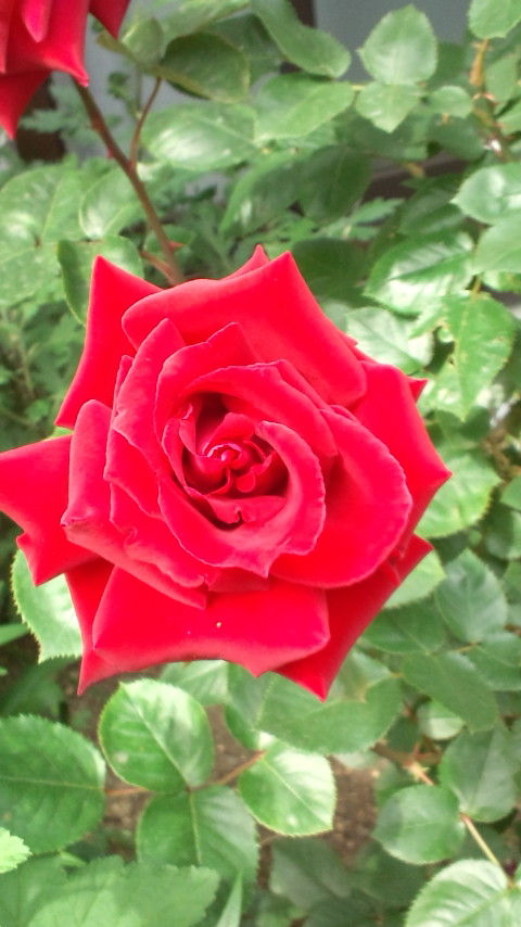 20110515142911