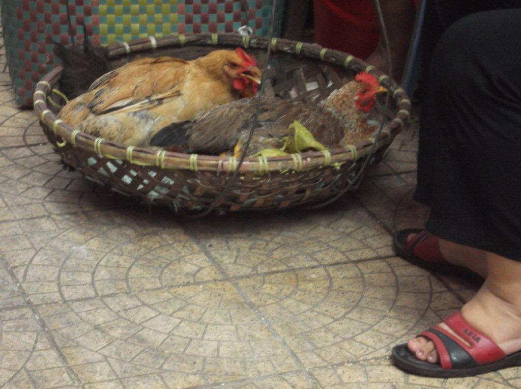 tobechiken